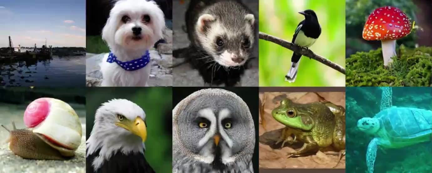 Breaking the Algorithmic Ceiling in Pre-Training with Inductive Moment Matching